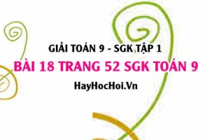 Giải bài 18 trang 52 SGK Toán 9 tập 1